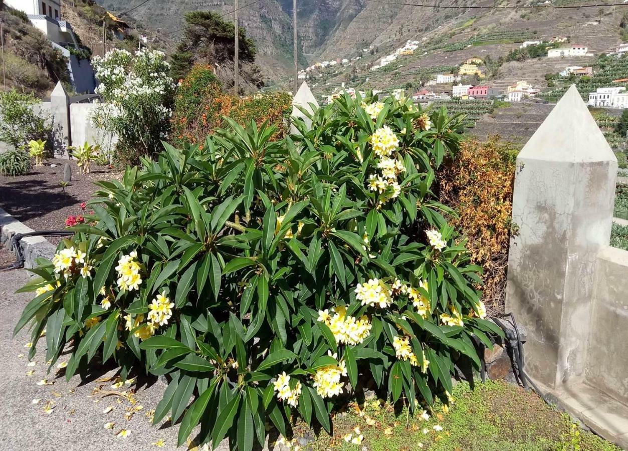 Gomera Garden. Vista Mar Altozano Ермігуа Екстер'єр фото